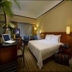 Services Provider of Hotels Accommodation